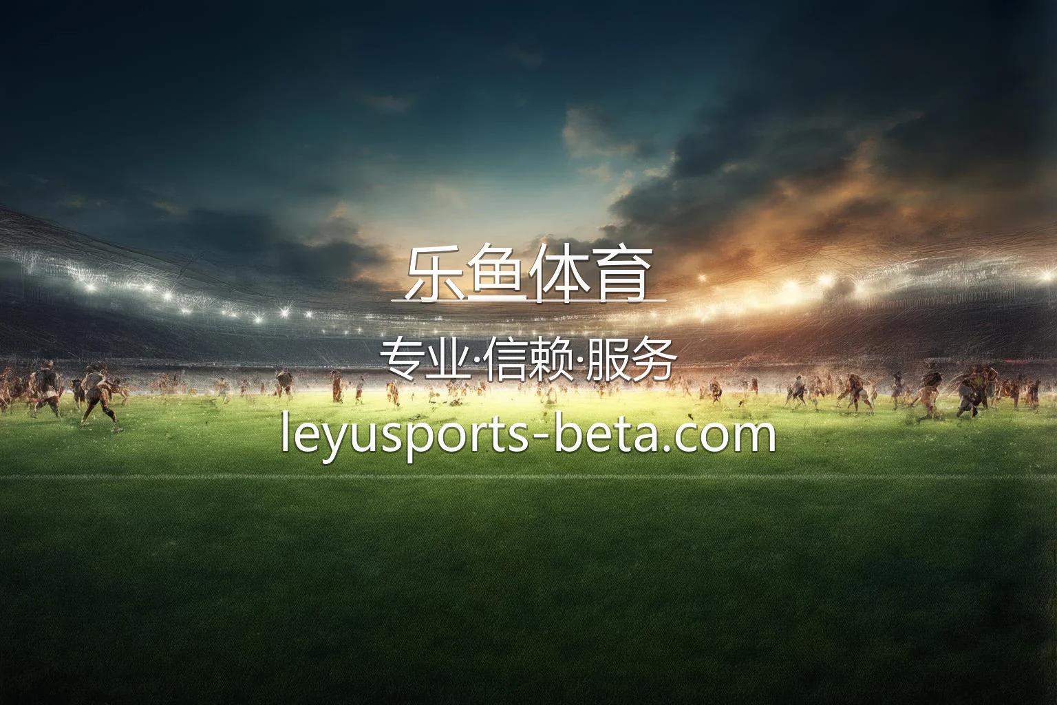 乐鱼体育赛事直播画面